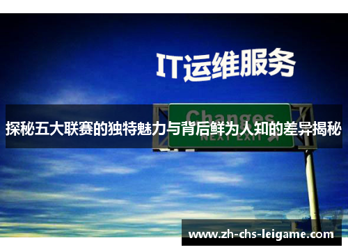 探秘五大联赛的独特魅力与背后鲜为人知的差异揭秘