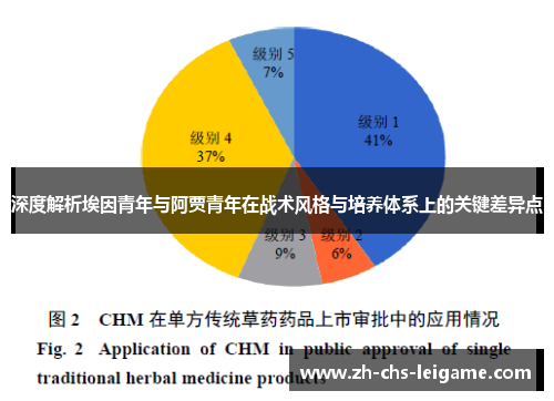 深度解析埃因青年与阿贾青年在战术风格与培养体系上的关键差异点